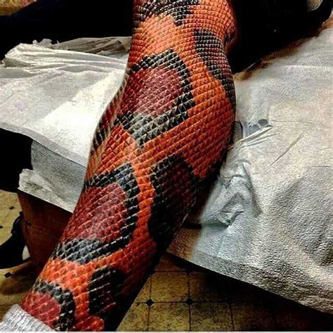 snake shin tattoo|Unique Snake Tattoo Designs for the Shin